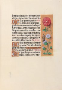  by Master of the First Prayerbook of Maximillian