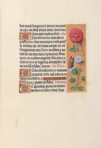 İspanya Kraliçesi Katolik Kraliçe Isabella