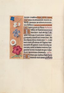 İspanya Kraliçesi Katolik Kraliçe Isabella