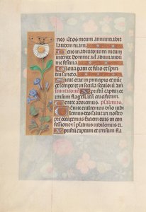 İspanya Kraliçesi Katolik Kraliçe Isabella