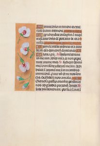 İspanya Kraliçesi Katolik Kraliçe Isabella