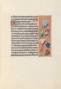İspanya Kraliçesi Katolik Kraliçe Isabella