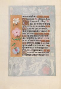  by Master of the First Prayerbook of Maximillian