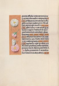 İspanya Kraliçesi Katolik Kraliçe Isabella'nın Saatleri: Fol. 58v, c. 1500. by Master of the First Prayerbook of Maximillian