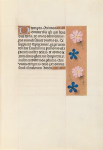 İspanya Kraliçesi Katolik Kraliçe Isabella