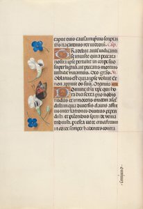  by Master of the First Prayerbook of Maximillian