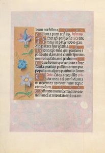 İspanya Kraliçesi Katolik Kraliçe Isabella'nın Saatleri: Fol. 69v, c. 1500. by Master of the First Prayerbook of Maximillian