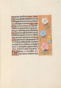 İspanya Kraliçesi Katolik Kraliçe Isabella