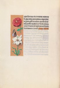  by Master of the First Prayerbook of Maximillian