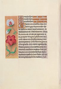 İspanya Kraliçesi Katolik Kraliçe Isabella