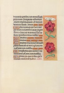İspanya Kraliçesi Katolik Kraliçe Isabella