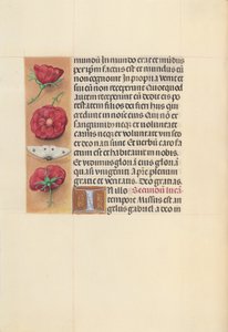  by Master of the First Prayerbook of Maximillian