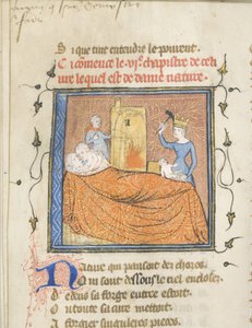 Guillaume de Lorris ve Jean de Meun tarafından Roman de la Rose