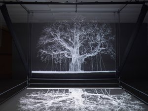  by Mat Collishaw