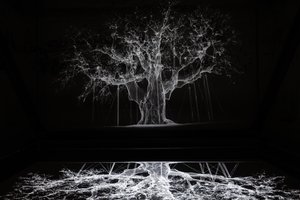  by Mat Collishaw