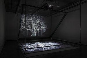  by Mat Collishaw