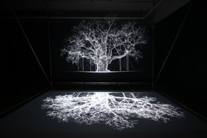  by Mat Collishaw