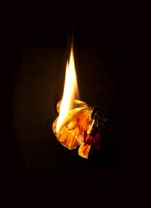 by Mat Collishaw