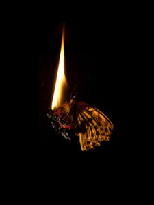  by Mat Collishaw