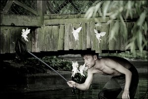  by Mat Collishaw