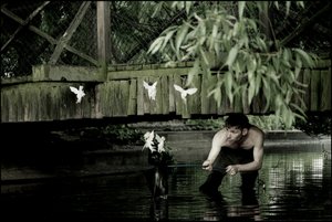  by Mat Collishaw