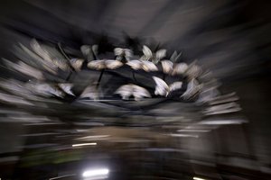  by Mat Collishaw