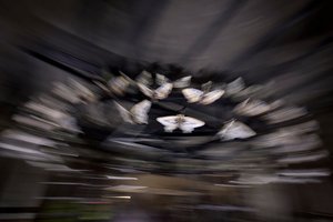  by Mat Collishaw