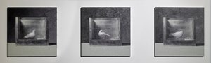  by Mat Collishaw