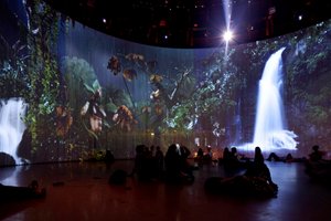  by Mat Collishaw