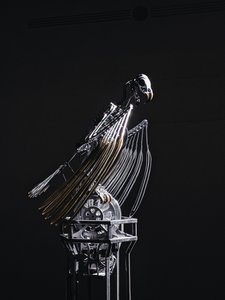  by Mat Collishaw