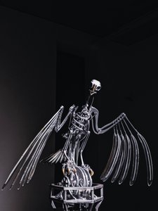 by Mat Collishaw