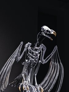  by Mat Collishaw