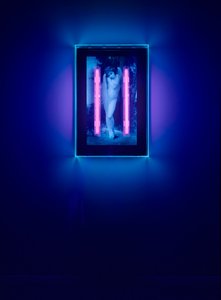  by Mat Collishaw
