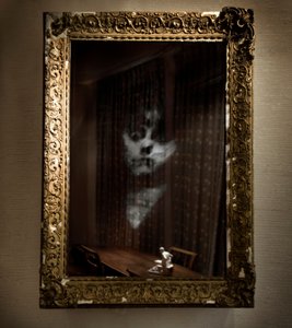  by Mat Collishaw