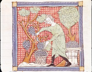 Fol.59r September: The Harvest 