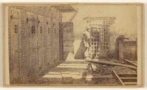  by Mathew B. Brady