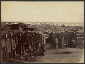  by Mathew B. Brady