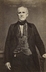 Sam Houston, c.1860-65 (albüm gümüş baskı) by Mathew B. Brady