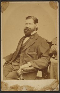  by Mathew B. Brady