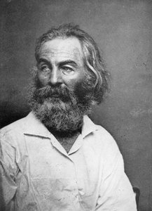 Walt Whitman 1819-1892, Amerikalı şair, c1880