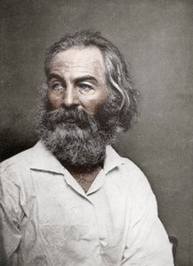 Walt Whitman, Amerikalı şair, c1880