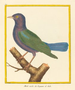 Karatavuk, Yahuda Krallığı