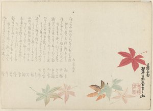 Japon akçaağaç by Matsukawa Hanzan