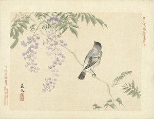 Wisteria dalında kuş Keibun