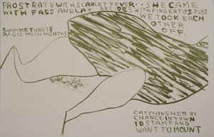 ibnelerle geldi, 2009 (litografi) by Matthew Hilton