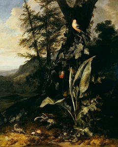 Kurbağa ve Kertenkeleli Bir Orman Zemini, yukarıda Sarmaşık Dalında Bir Şakrak Kuşu ve ötesinde bir Dağ by Matthias Withoos