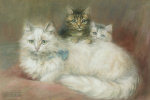 İran kedisi ve yavruları by Maud D. Heaps