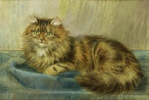 İran kedisi pastel by Maud D. Heaps