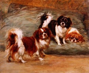 Bir Yastıkta Üç Kral Charles Spaniel by Maud Earl