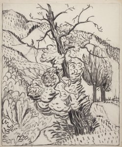 Dağ Yamacında Ağaç, c.1930 (kirli beyaz dokuma kağıt üzerine fırça, mürekkep ve karakalem) by Maud Hunt Squire